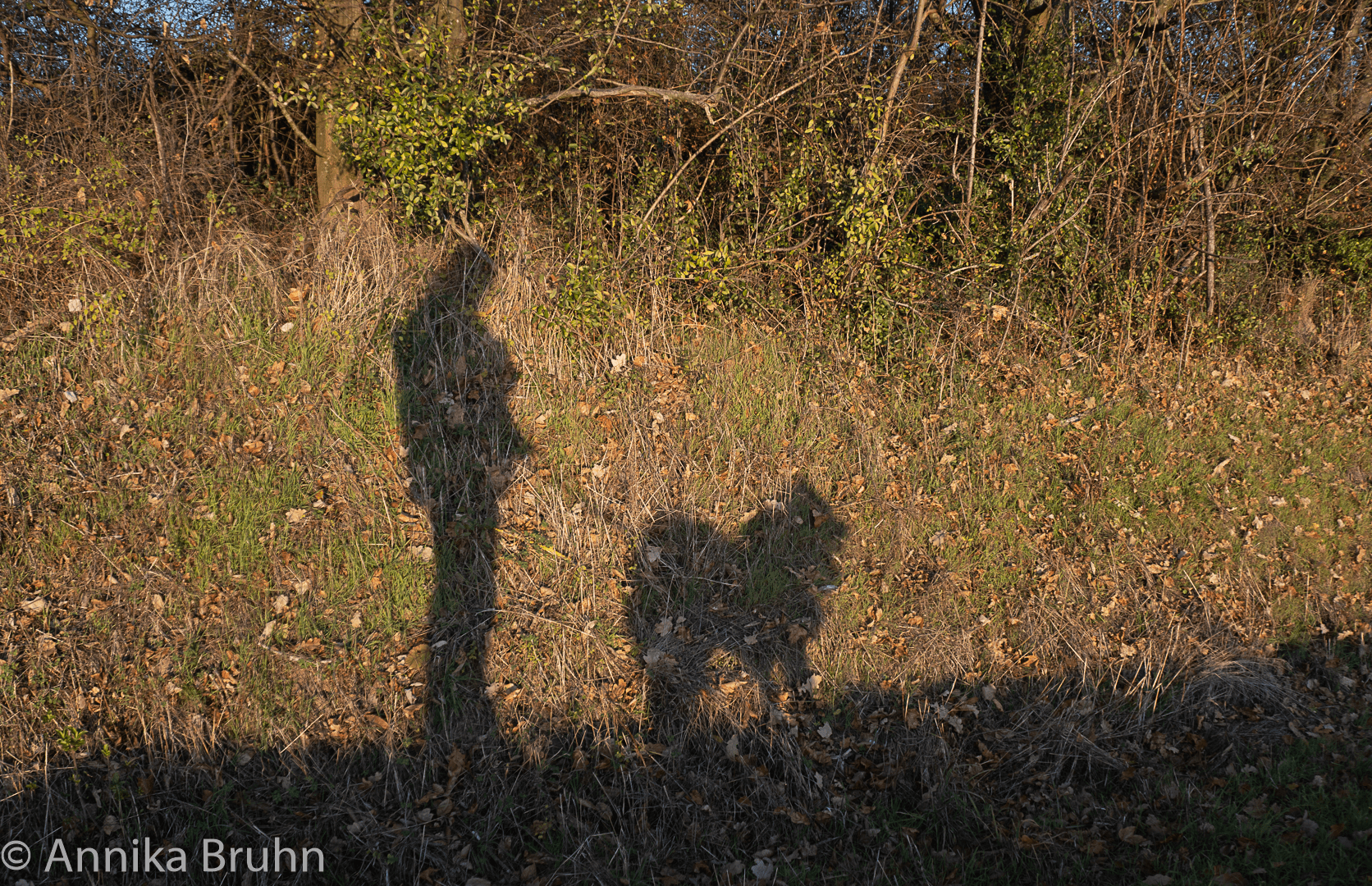 Q und Annika beim spazieren